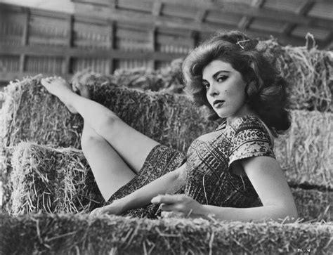 tina louise tits|38 Stunning Color Photos of Tina Louise in the 1960s